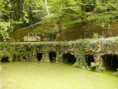 /album/galeria-de-fotos-quinta-da-regaleira/quinta-regaleira-20030511-005-0-preview-jpg/
